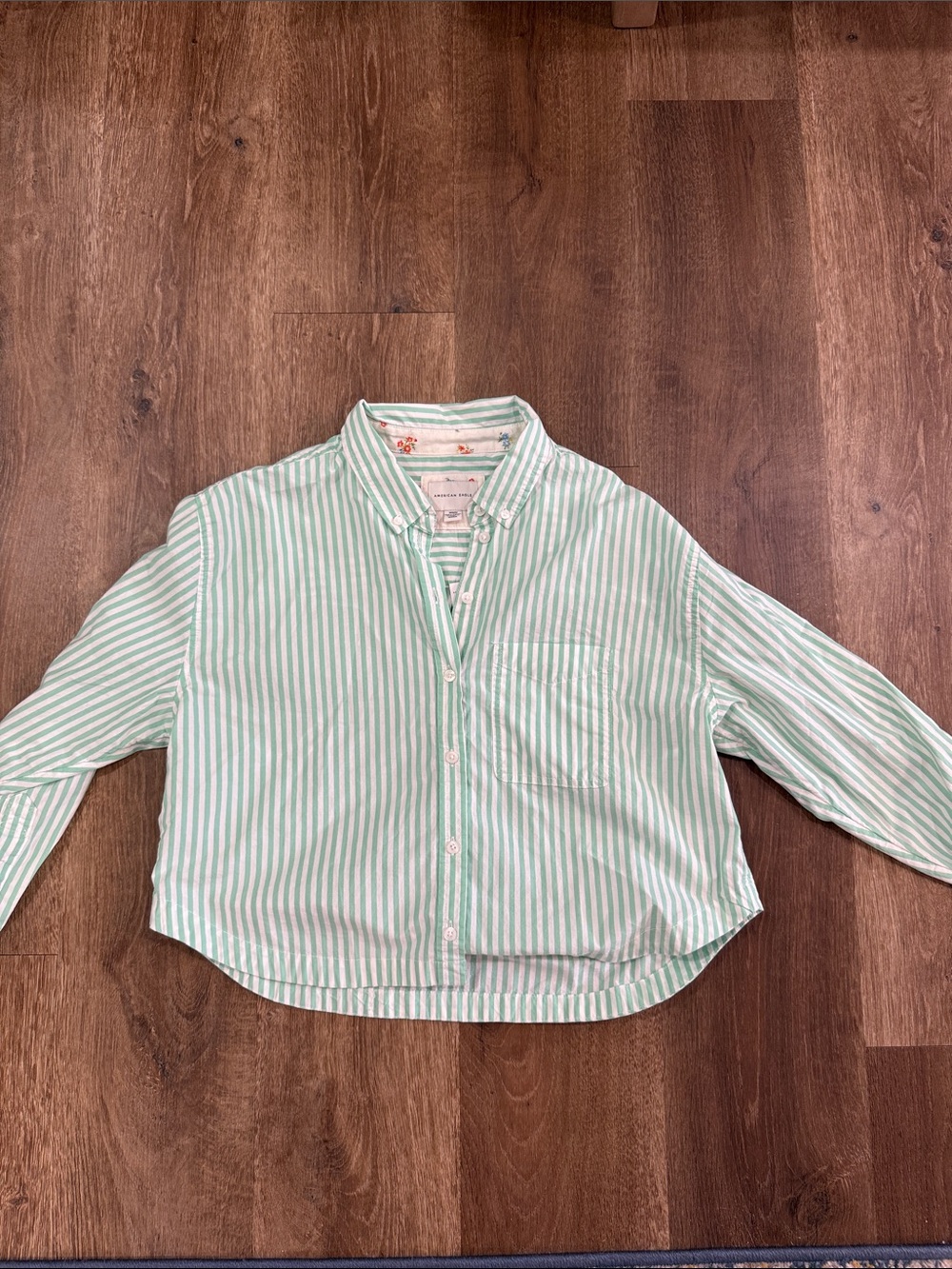 American Eagle Outfitters Mint Green and White Striped Button-Down Shirt